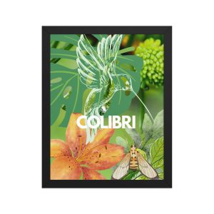 Framed Poster: "Colibri"